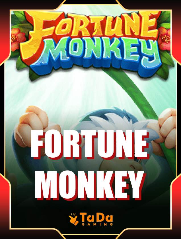 hoywin-new-game-5